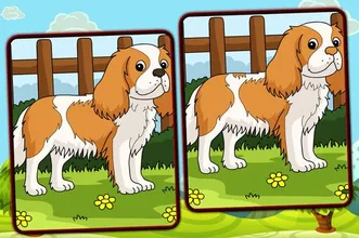 Dogs Spot The Differences